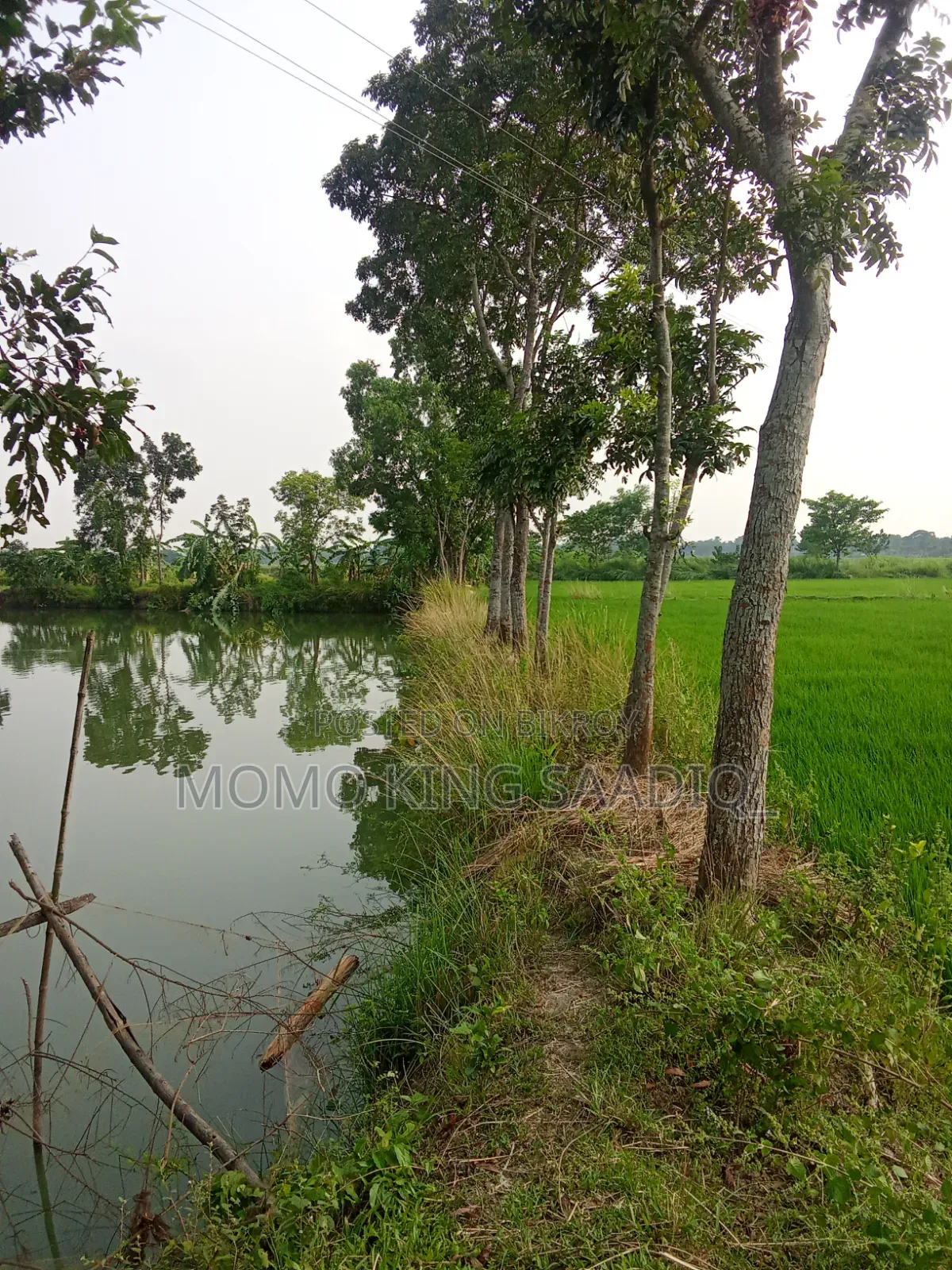 জমি কামার ফিশারি