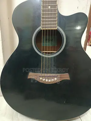 TGM Brand Acoustic Guitar