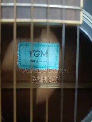 TGM Brand Acoustic Guitar