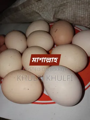 Deshi Chicken