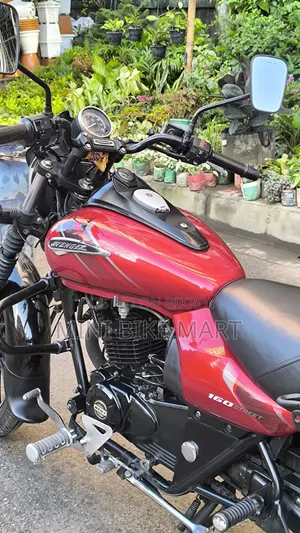 Bajaj Avenger 160 Street 2021 Red