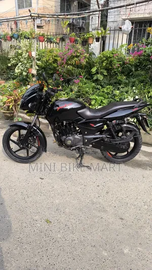 Bajaj Pulsar 150 2022 Black