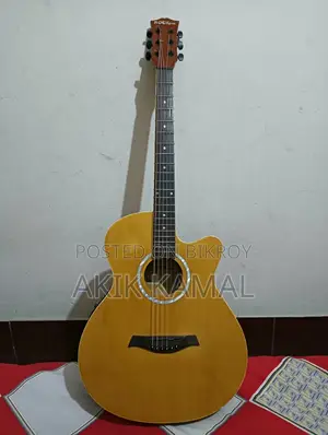Rockjam Acoustic (Semi Electric)