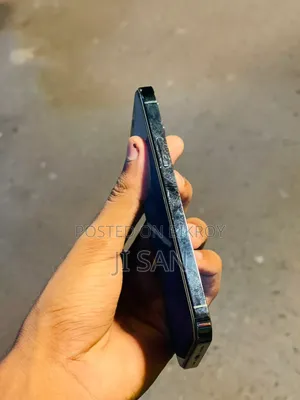 অ্যাপল আইফোন ১২ প্রো ২৫৬ জিবি ব্লু
