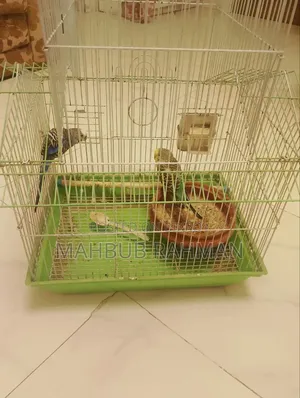 Two Bird With Cage