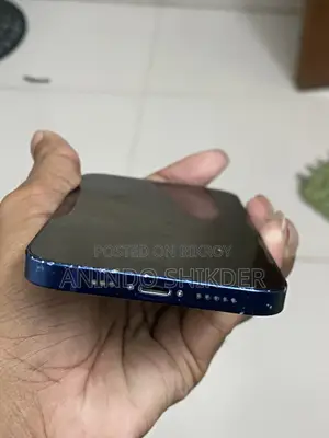 অ্যাপল আইফোন ১২ ১২৮ জিবি ব্লু