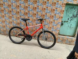 Raflex 24 Cycle
