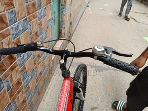 Raflex 24 Cycle