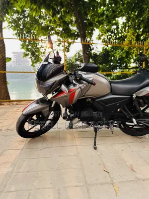 টিভিএস আপাচি আরটিআর ১৬০ টুভি ২০১৭ ধূসর