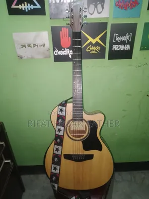 Deviser LS-570-40 EQ Guitar - Electro Acoustic - 