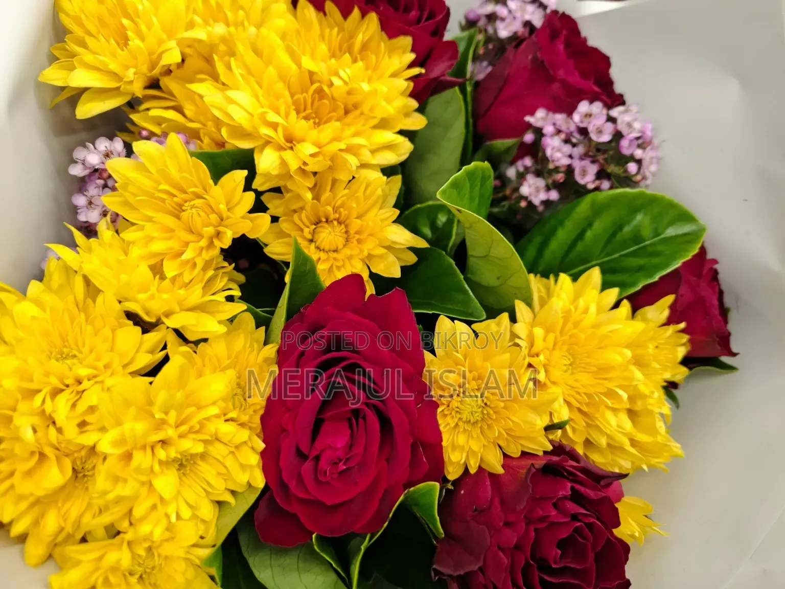 মোটরোহলা এজ ৫০ ২৫৬ জিবি গ্রে