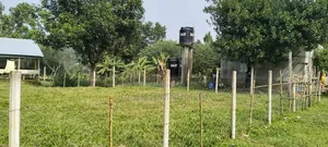 খামার বাড়ি বিক্রি