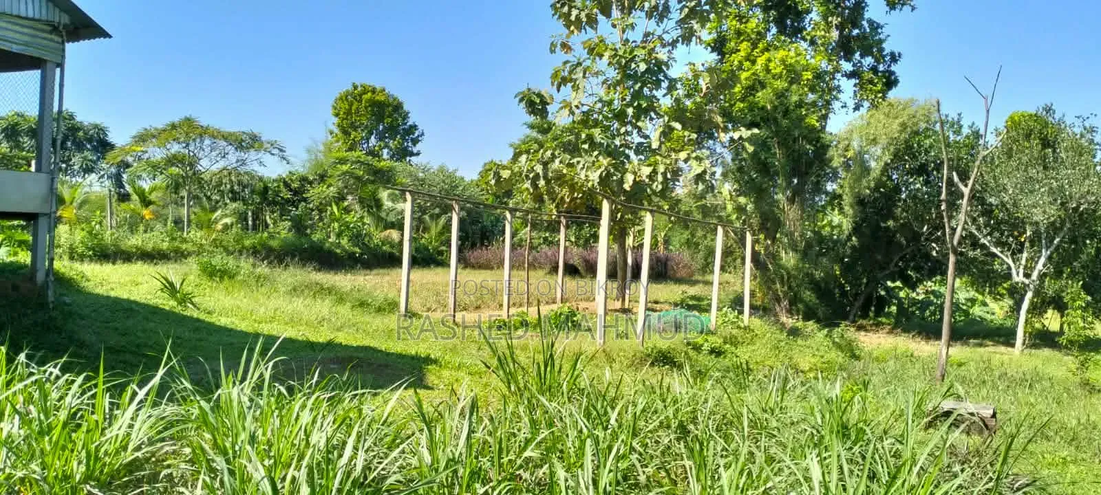 খামার বাড়ি বিক্রি