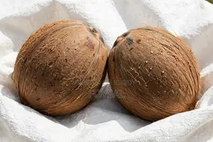 Coconut 220 Taka per pair, wholesale 190 Taka