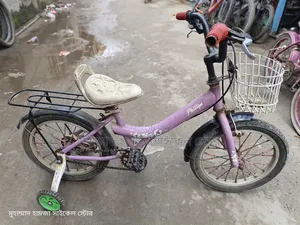 16 Inch Bicycle Running All Things Okay