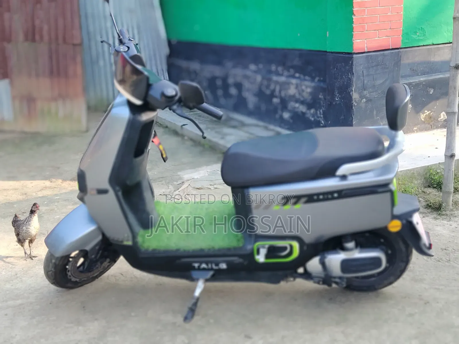 টেইলগ জেড র‍্যাবিট ২০২৬ ধূসর