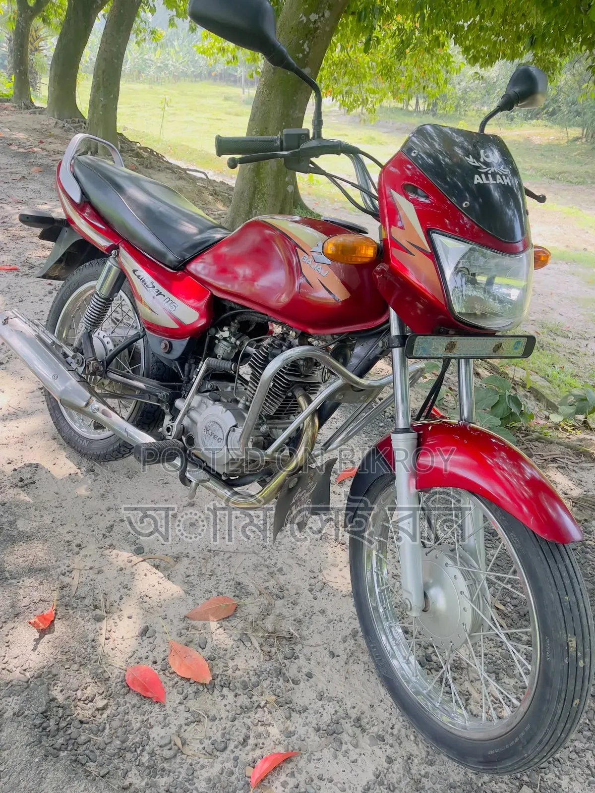 Bajaj Chetak 2004 Red