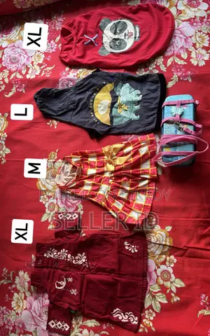 বিড়ালের অ্যাকসেসরিজ