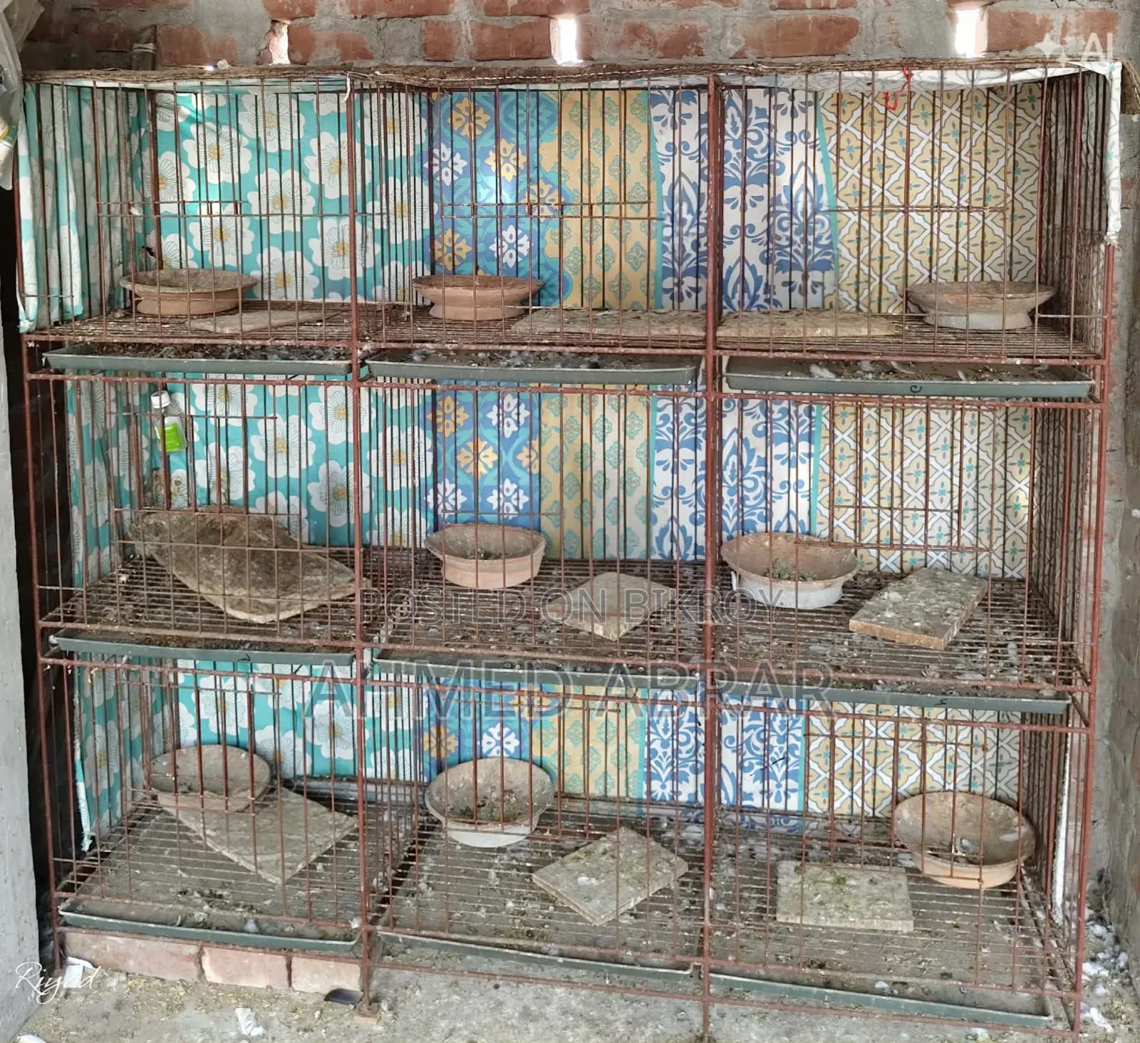 হাতে বানানো রডের খাঁচা