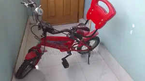 Duranta Full Serviced Kids Cycle