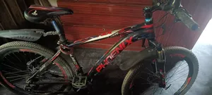 Phoenix Cycle