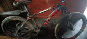 Phoenix Cycle