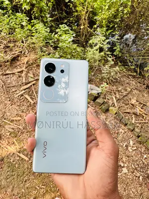 Vivo V29 Pro 256 GB