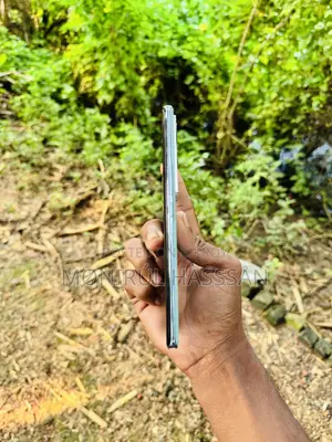 Vivo V29 Pro 256 GB