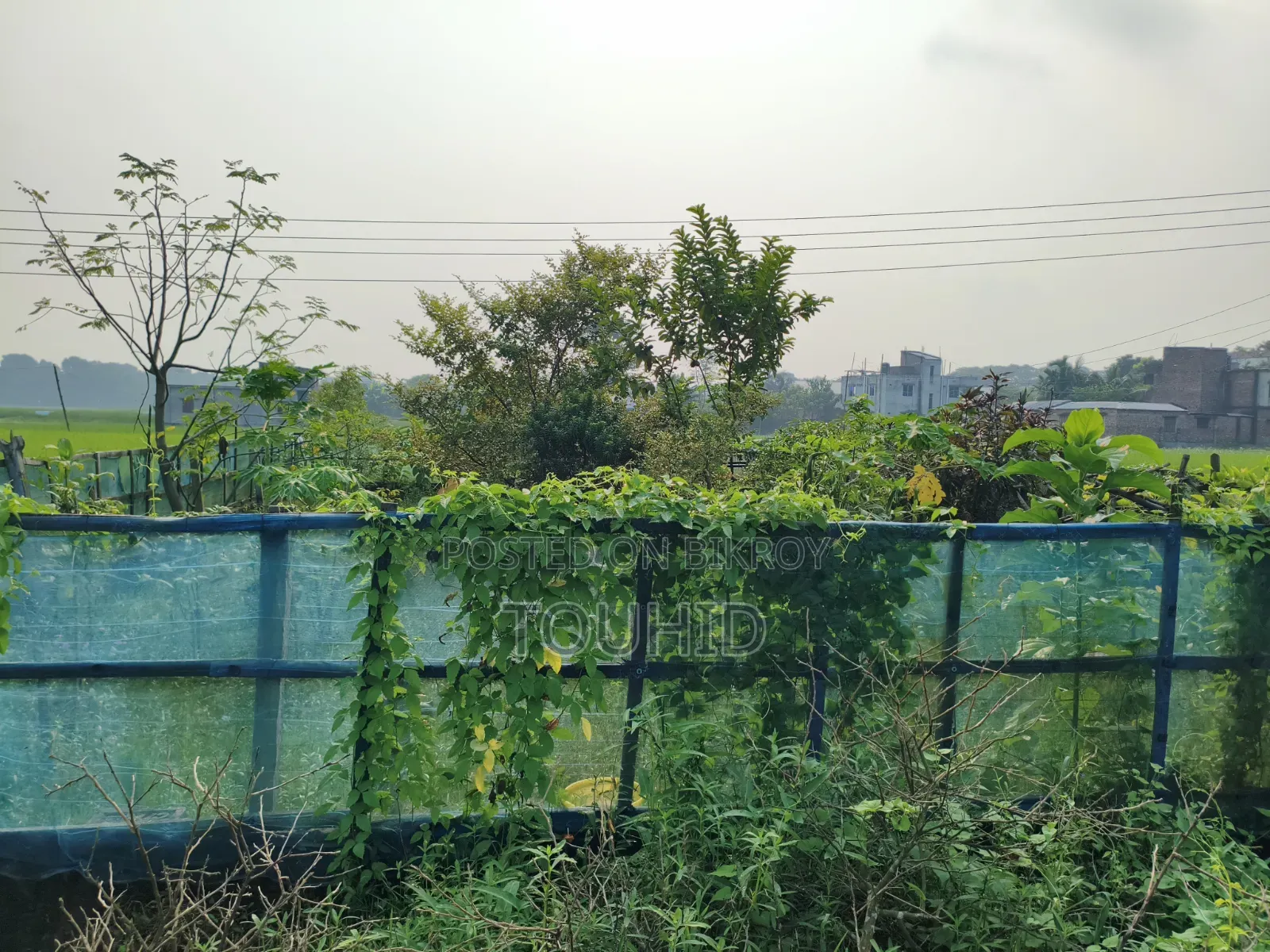 Land for sale in Jessore Upashahar E Block area