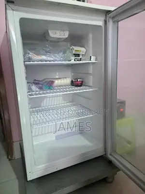 ১. স্যামসাং রেফ্রিজারেটর