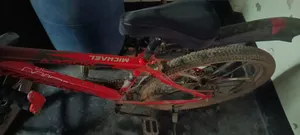 Arrow Bicycle