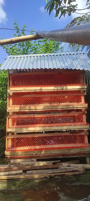 কোয়েল পাখির খাঁচা
