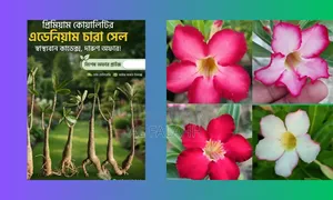 Adenium Dhamaka Offer