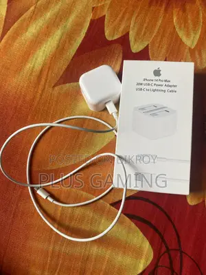 Apple 20W Fast Charger
