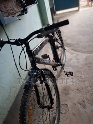 Duranto Bicycle (Knight) Full Fresh Condition