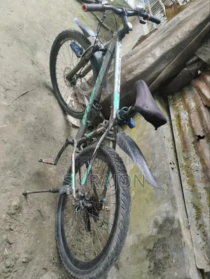 Cycle for Sale