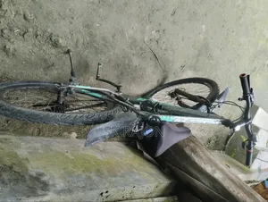 Cycle for Sale
