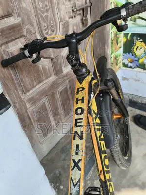 Pronix Cycle