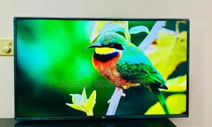 LG 43 Inche 4K Voice Control TV Dolby Audio System Korean TV