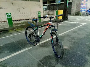 For Sale - Original Phoenix Tornado 24-Speed Bicycle