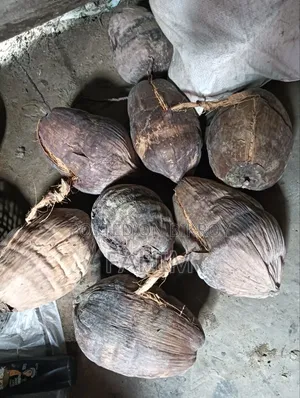 Coconuts for Sale