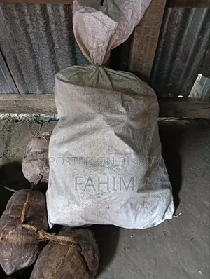Coconuts for Sale