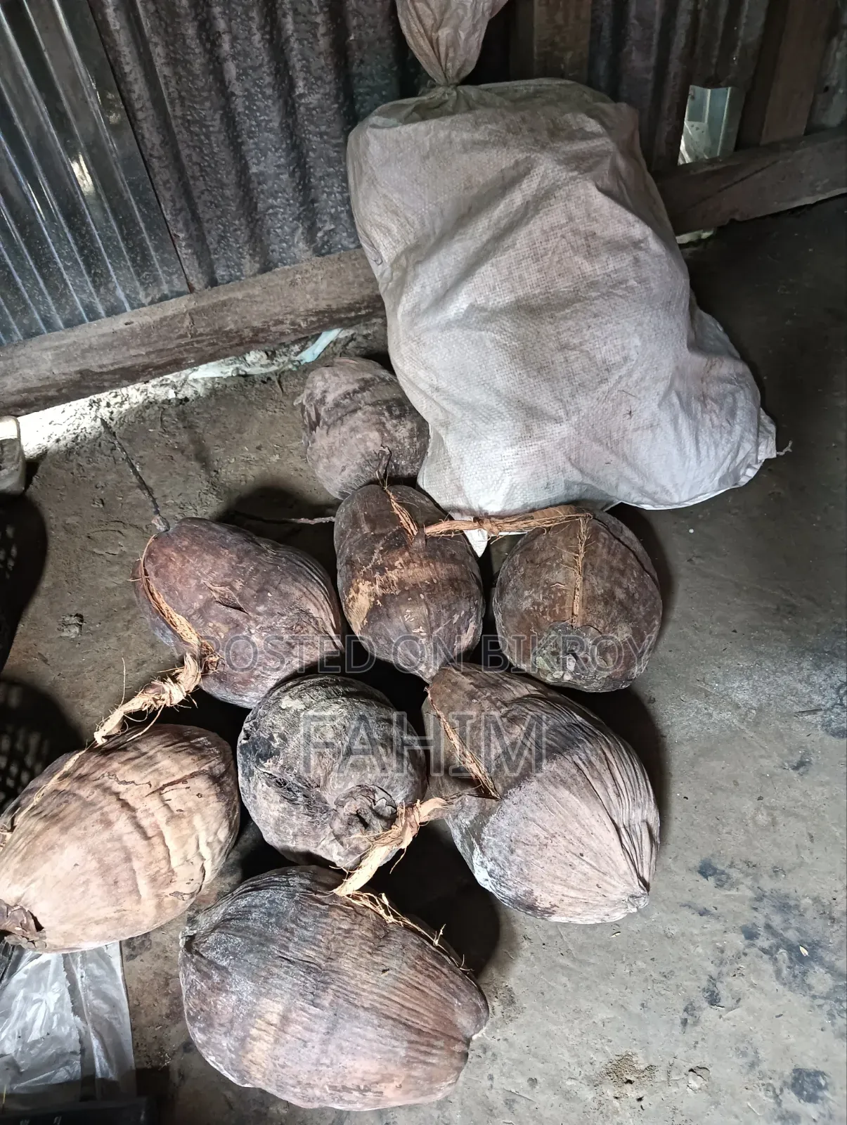 Coconuts for Sale