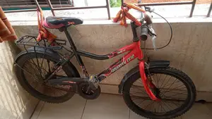 The bicycle is good. You can check and take it