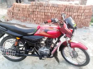 Bajaj Platina 100 2009 Red