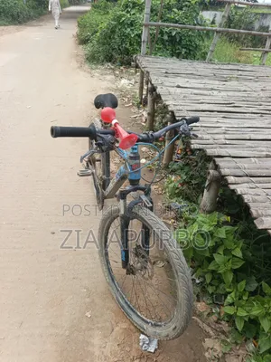 Hero Bicycle 1968