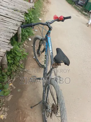 Hero Bicycle 1968
