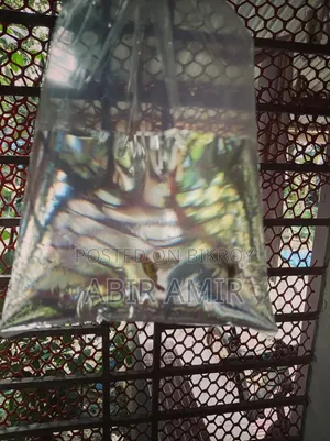 ফায়ার ড্রাগন গাপ্পি মাছ