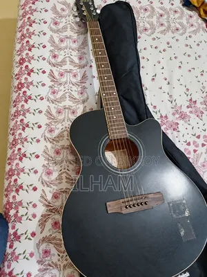 Musical Instrument