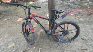 Bicycle for Sale